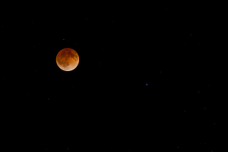 Illustration for article titled Stunning Images From Last Night's Blood Moon